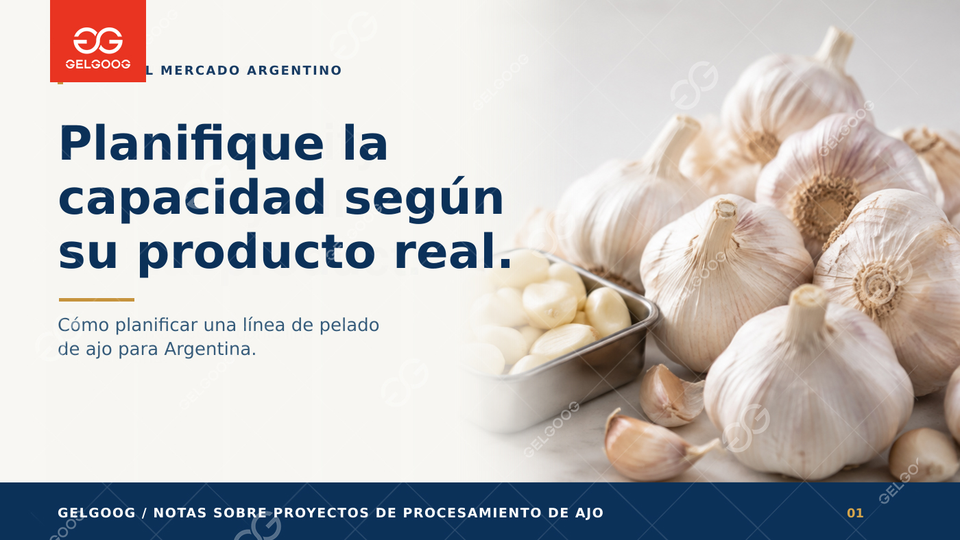 Cómo planificar la capacidad y configuración de una línea de ajo pelado en Argentina