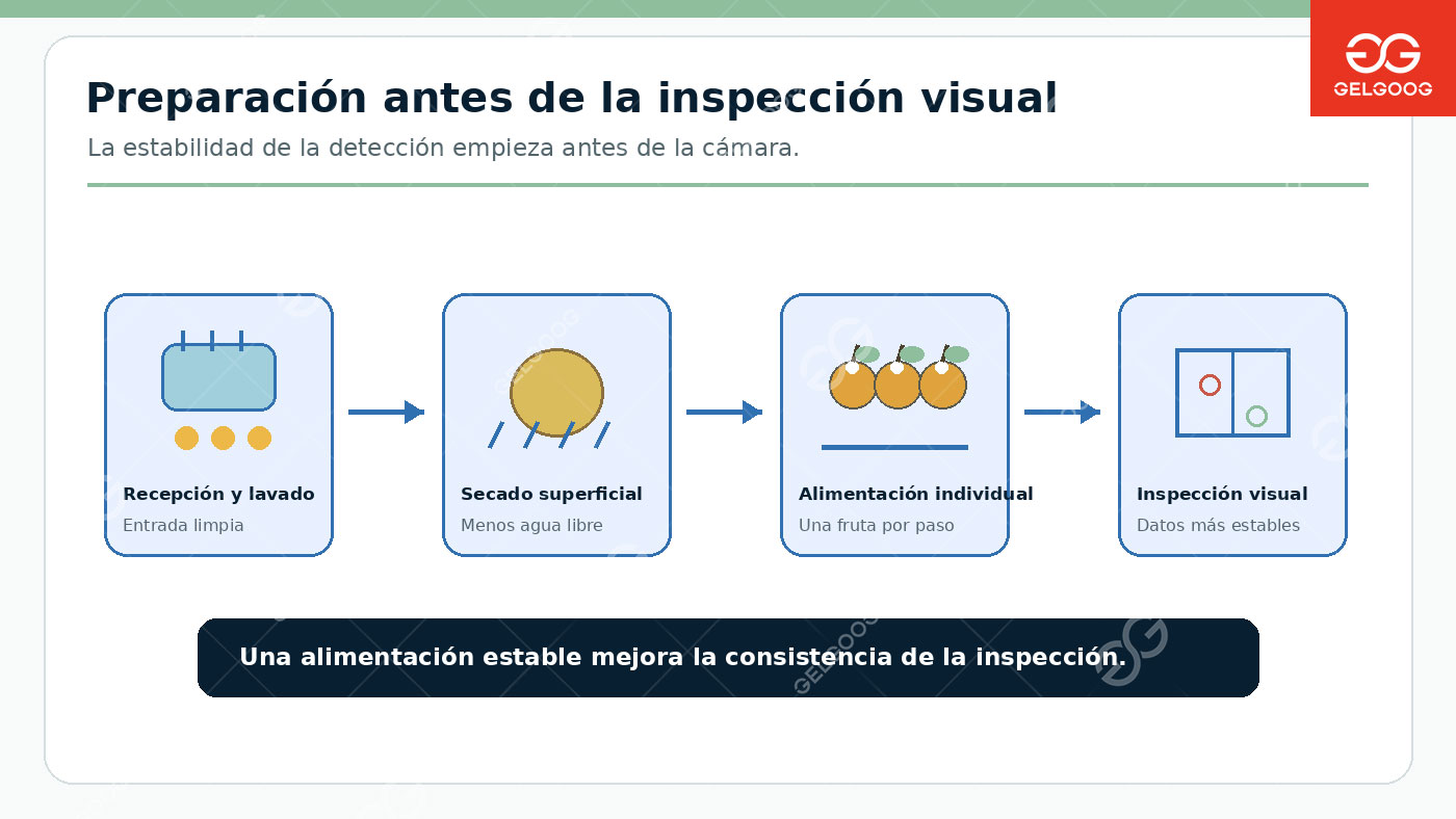 Cómo planificar una línea inteligente de clasificación de fruta de 5 t/h