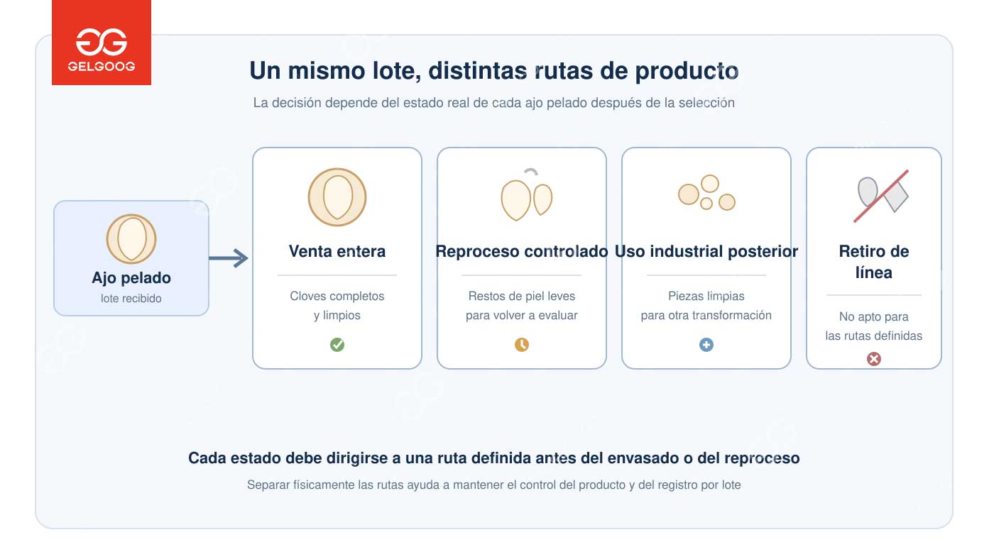 Cómo separar ajo pelado para venta entera, reproceso y uso industrial en Argentina